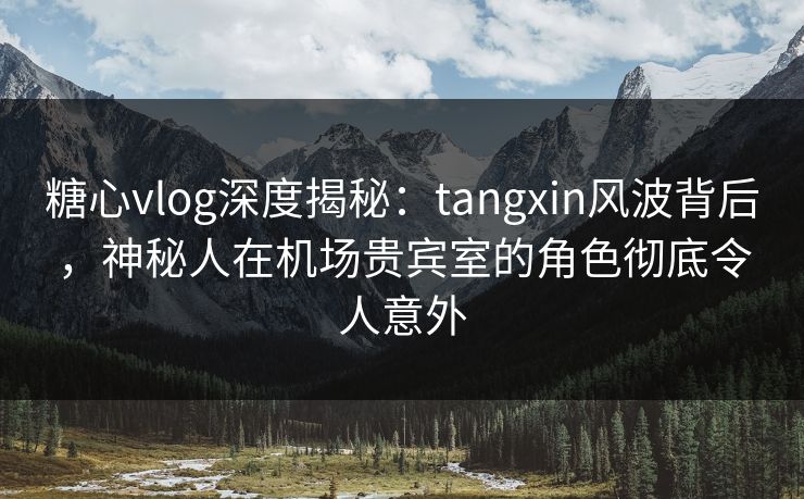 糖心vlog深度揭秘：tangxin风波背后，神秘人在机场贵宾室的角色彻底令人意外