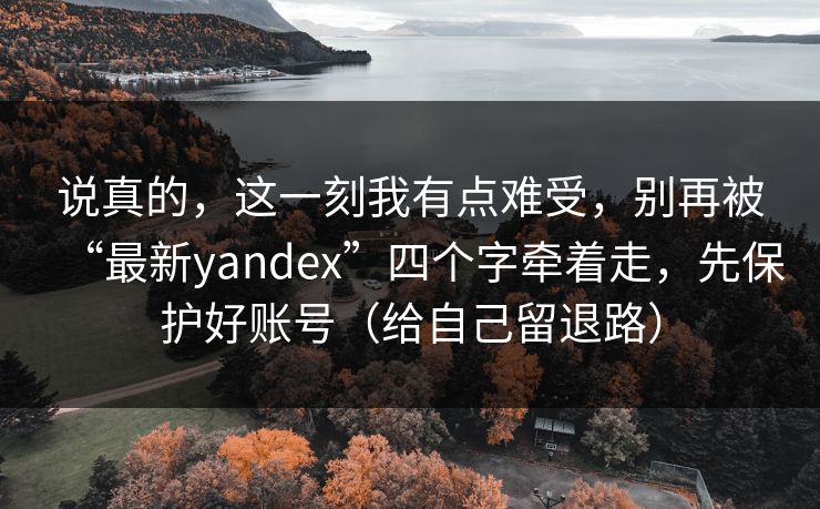 说真的，这一刻我有点难受，别再被“最新yandex”四个字牵着走，先保护好账号（给自己留退路）